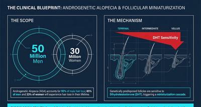 Androgenetic Alopecia: The Miniaturization Cascade Explained